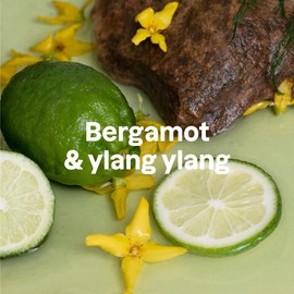 ATTITUDE Hand Soap with Essential Oils, EWG Verified, Plant and Mineral-Based Ingredients, Vegan Personal Care Products, Refillable Aluminum Bottle, Bergamot and Ylang Ylang, 473 ml