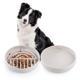 Slow Feeder Bowls Set for Medium Dogs & Puppies - Silicone Non-Slip Food & Water Bowls, Promotes Healthy Digestion, Dishwasher & Microwave Safe, 2 & 5 Cups (Gray)