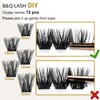 Cluster Lashes D Curl 12mm 72 Clusters B&Q Lash Clusters