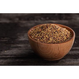 Organic Clover Sprouting Seeds, 15 Pounds - Great for Sprouts, Microgreens, Gardening, Food Storage, Seeds in Bulk to Plant, Non-GMO, Kosher