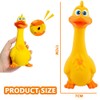 CARxlythic 2pcs Anti-stress Duck Dog, Chew Toy for Dogs for