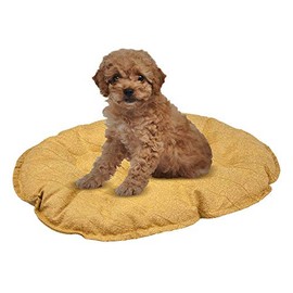 Fancy Pets Cojín CH para Cama de Plástico – 50 X 34 cm, Tela Suave y Resistente, Descanso Cómodo para Perros Varios Colores