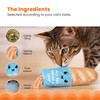 Catstages Loaf Kicker Catnip Toy and Dental Toy for Cats