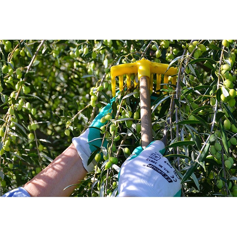 Kouzini Variety Gift Pack - Greek Extra Virgin Olive oil