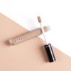 INGLOT All covered under eye conceptor 107