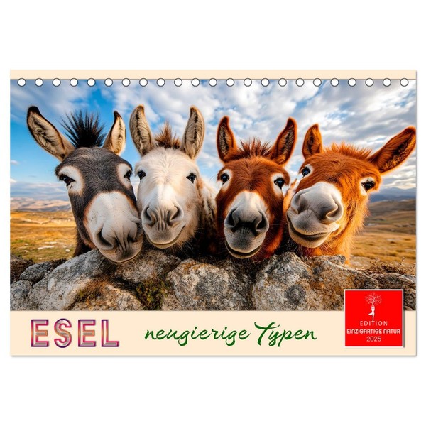Donkey - Curious Types (Desk Calendar 2025 DIN A5 Landscape),