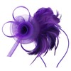 DRESHOW Fascinator Hats for Women Pillbox Hat with Veil Headband