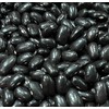 Ayocote Negro Frijoles Black Bean Heirloom Seed Packet