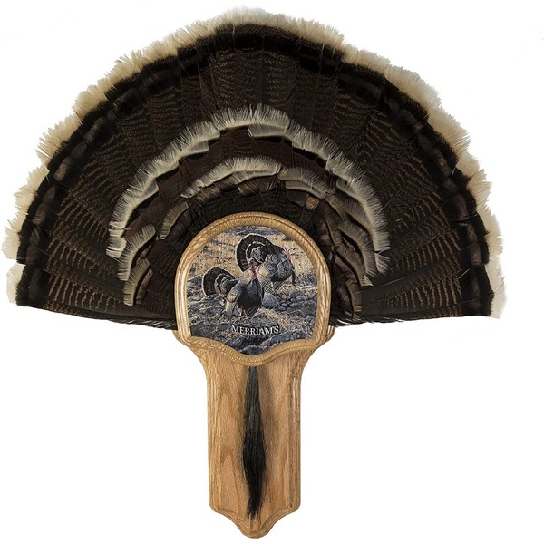 Walnut Hollow Country Grand Slam Series Deluxe Turkey Display Kit, Oak