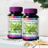 Lemon balm extract powder, high content of 99% or more