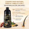 Kaisasa Shampoo Con Tinte Cubre Canas Natural Jengibre 500ml-Negro