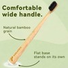 TIKITAKA FTG Natural Bristle Bamboo Toothbrush Sampler, 2 Pack -