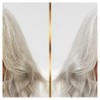 Hair Biology Silver & Glowing shampoo & conditioner