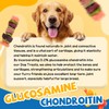 gazeupon Dog Treats, Multi-Flavored Kabobs Treats, High Protein Dog Chews,