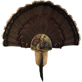 Walnut Hollow Turkey Display Kit Spring Strut