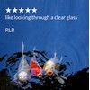 API POND ACCU-CLEAR Pond Water Clarifier 1-Gallon Bottle