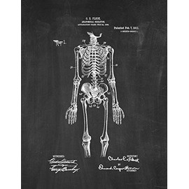 Anatomical Skeleton Patent Print Chalkboard (11" x 14") M13626
