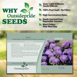 Outsidepride 1000 Seeds Annual Callistephus Lavender Tall Double Gremlin Aster Flower Seeds for Planting