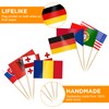 CIYIN Flag Toothpick, Toothpick with Flags, 100 Different Country Flags,