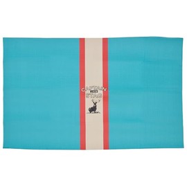 Captain Stag UB-3092 Picnic Rug, Mat, Cushion Picnic Rug, 35.4 x 23.6 inches (90 x 60 cm), Turquoise/Racing Stripe