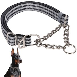 Martingale Collar with Steel Chain,Reflective Nylon Dog Collar with Soft Padded Adjustable Training No Slip Dog Collars (Large, Silver)