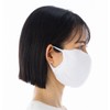 Easy Free Mask, 2 Pieces, Made in Japan, Cupro Cooling,