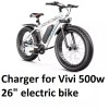 coming data AC adapter power supply battery Charger for vivi