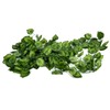 Simulation Watermelon Leaf Rattan Green Leaf Plant Ceiling Decoration Vine