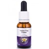 Living Essences Yellow Flag 15ml