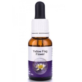 Living Essences Yellow Flag 15ml