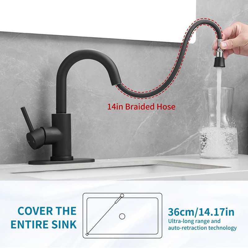Black Bathroom Sink Faucet with Pull Out Sprayer for 1
