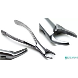 PREMIUM INSTRUMENTS Dental Extracting Root Forceps 150 Upper Incisors Teeth Surgical Instruments