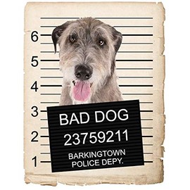 Great Pyrenees Dog Mugshot Bad Dog Car Bumper Magnet, Magnetic for Refrigerator, Decorative Fridge, Office, Whiteboard, Kitchen, Locker Waterproof Decor, Family & Friends, 4x7 in