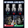 Set of 24 M14x2.0 Lug Nuts OEM Factory Style Large