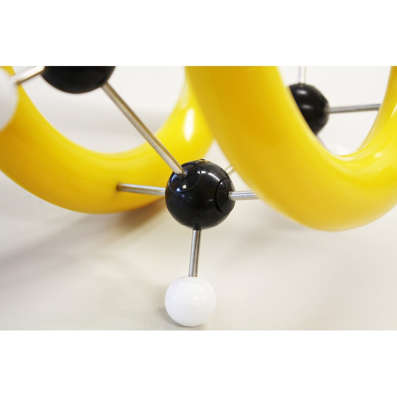 Parco Scientific PCM014 Benzene Ring Molecular Model Kit