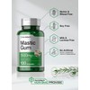 Horbäach Horbaach Mastic Gum Capsules 1500Mg 100 Count | Non-gmo