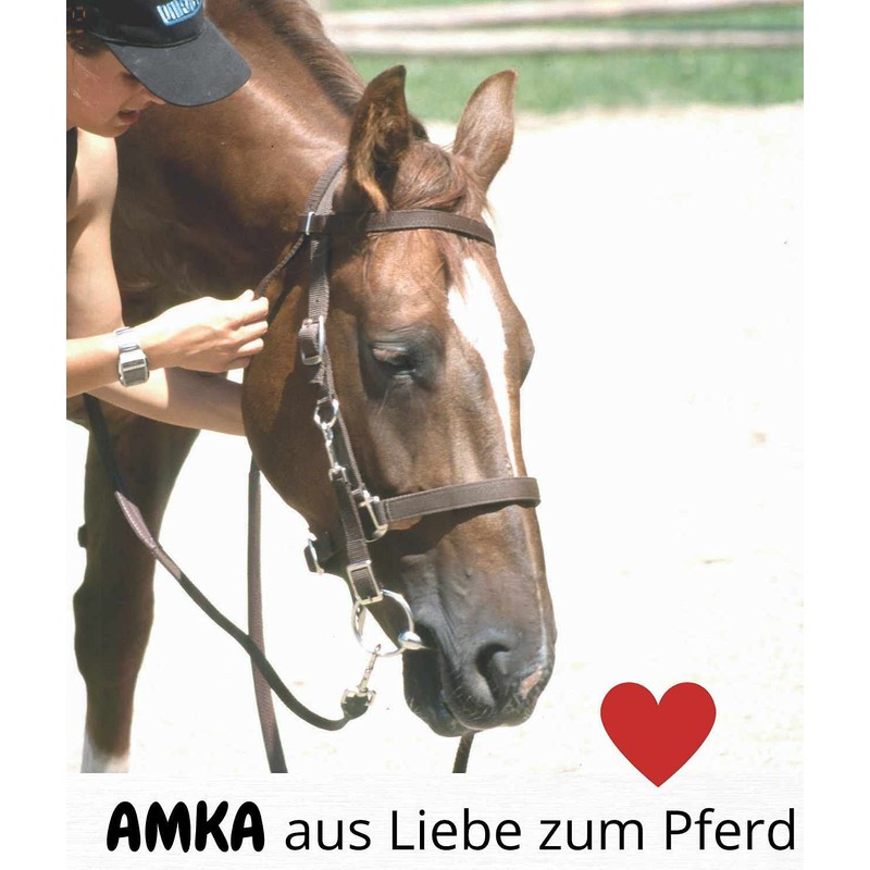 AMKA Horn Pannier Saddle Bag Western Saddle Bag Front Pannier