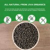 Jiva Organics Organic Urad Whole 2LB Bag - Black Gram