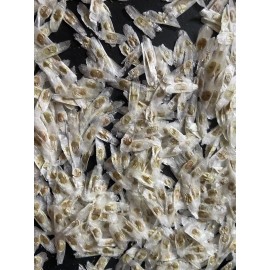 Unbranded 100 SEMILLAS DE TRONADORA DIABETINA ESPERANZA TECOMA STANS YELLOW ELDER