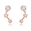 Earrings Silver 925 Women's Cubic Zirconia Stud Earrings Hanging Heart