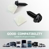 License Plate Screw Kit, Stainless License Plate Screws, Self Tapping