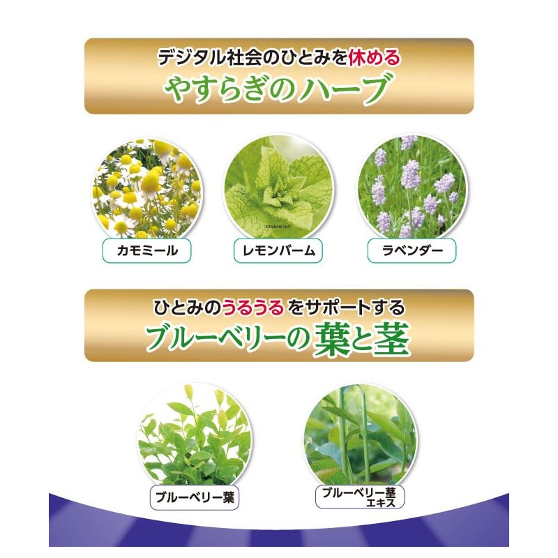 【公式】わかさ生活 ブルーベリーアイ 1袋 31粒入り 約1ヵ月分 ナノビルベリーエキス ルテイン ヒアルロン酸 など28種類の成分配合