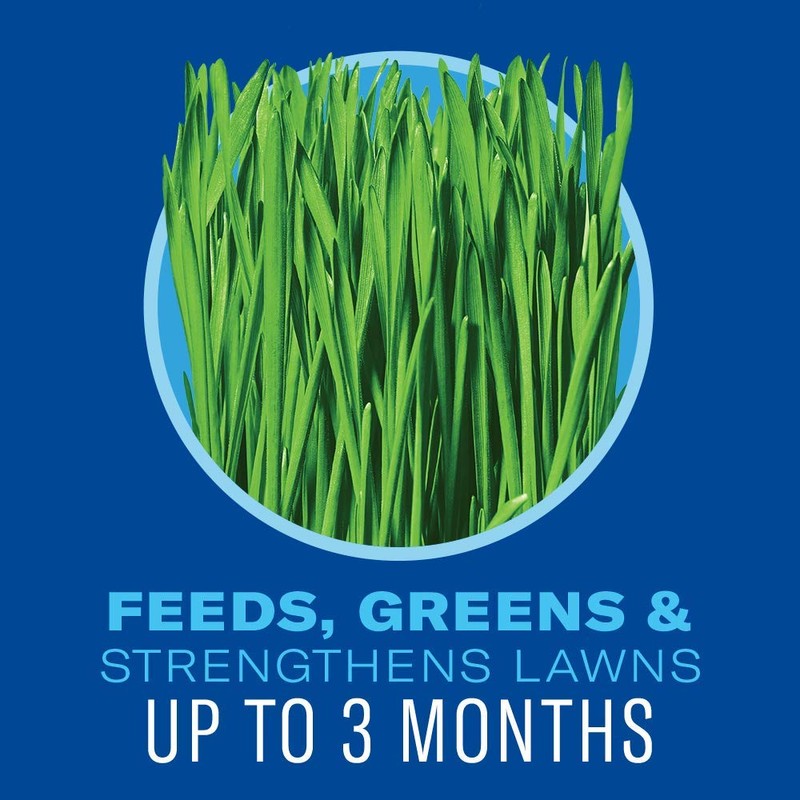 BioAdvanced 5 In 1 Weed and Feed, Granules, 24LB