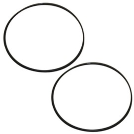 RAParts G10347 Pack of Two (2) Differential Bearing Carrier O-Ring Fits Case 580C Backhoe