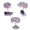Nupuyai Amethyst & Aquamarine Tree of Life Natural Geode Base