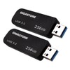Gigastone Z30 256GB 2-Pack USB 3.2 Gen1 Flash Drive, Capless