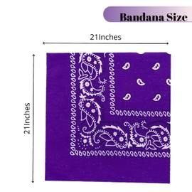 Lizzy Paisley Multifunctional Bandana's Headwear Neckwear Neckerchief Cycling Cowboy Scarf Head Neck Gaiter - Mens Womens Multipack Assorted Men Hair Pirate Bandana (Lilac)