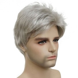 Lydell Men Wig Natural Short Straight Hair Synthetic Full Wigs (51 Silver Grey)
