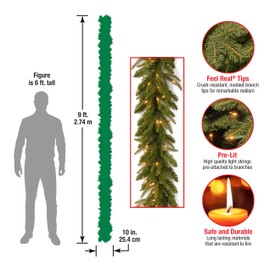 National Tree Company Pre-Lit 'Feel Real' Artificial Christmas Garland, Green, Frasier Grande, White Lights, Plug In, Christmas Collection, 9 Feet