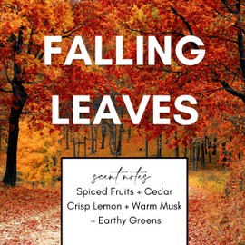 Bluebyrd Soap Co. Falling Leaves Candle 9 oz | Hello Fall Candle | Apple Citrus & Cedar Scented Coconut Wax | Vegan + Clean Burn 55 Hour (Falling Leaves, 9oz)